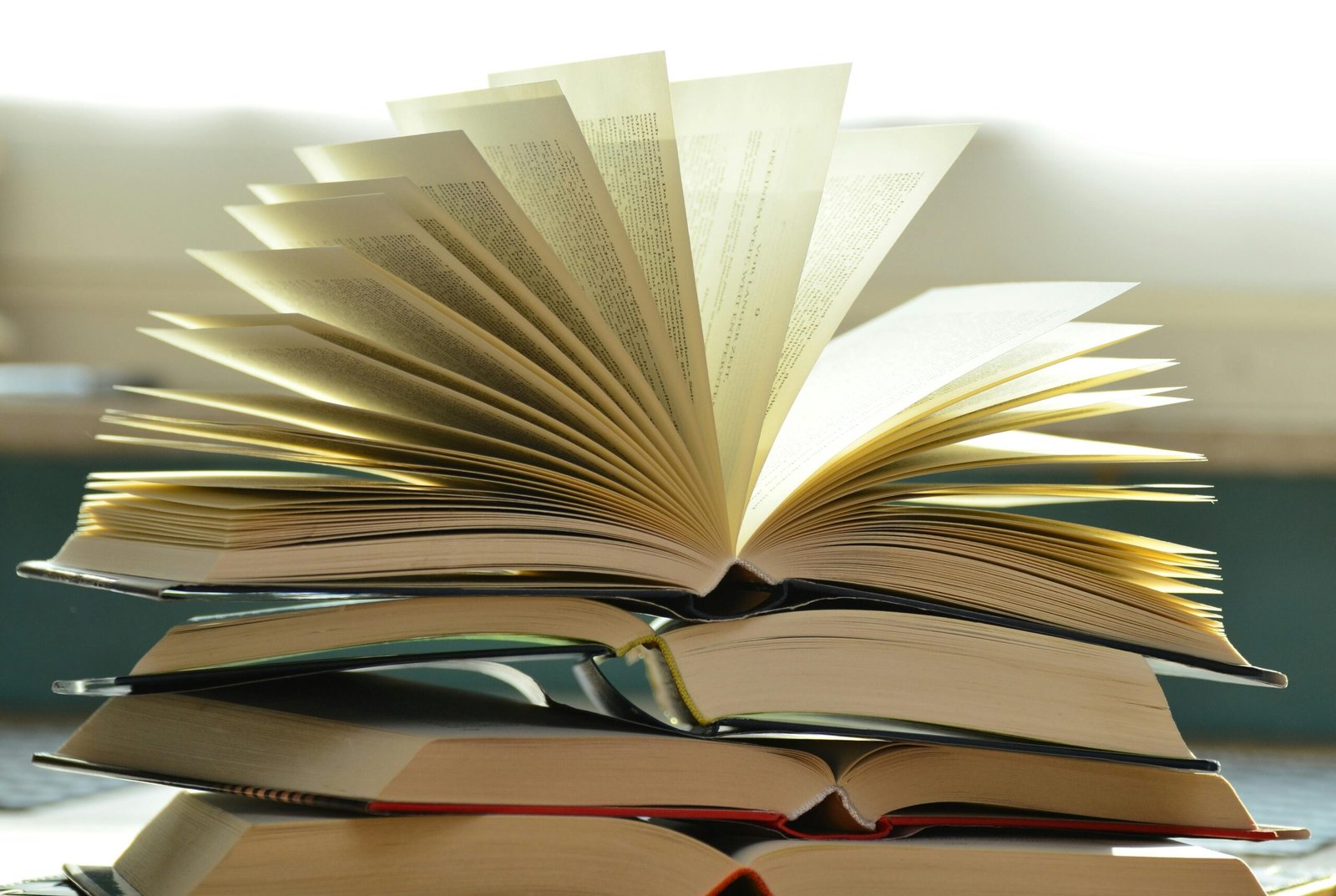livros desenvolvimento pessoal mulheres